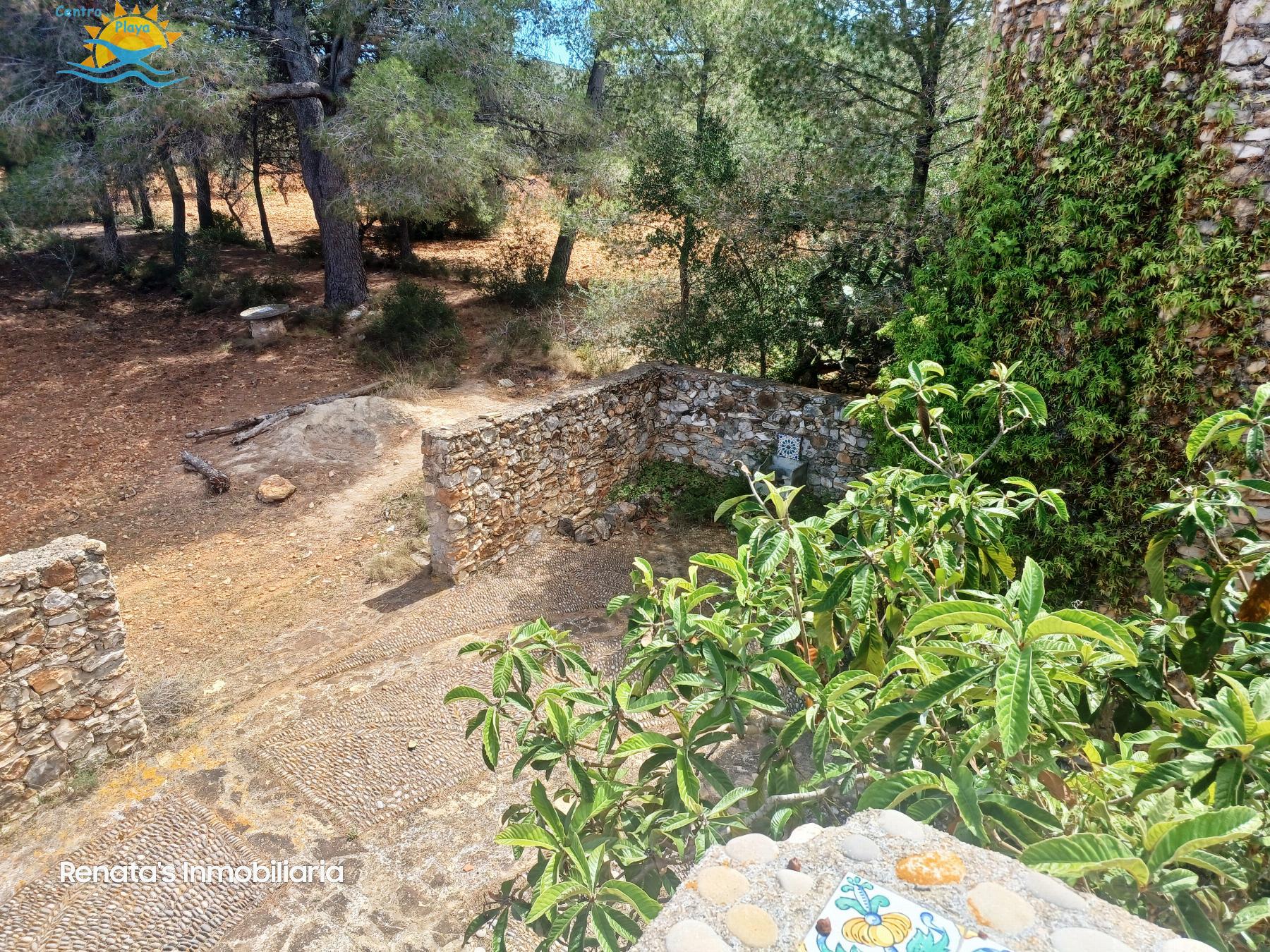 Venta de finca rústica en Peñíscola