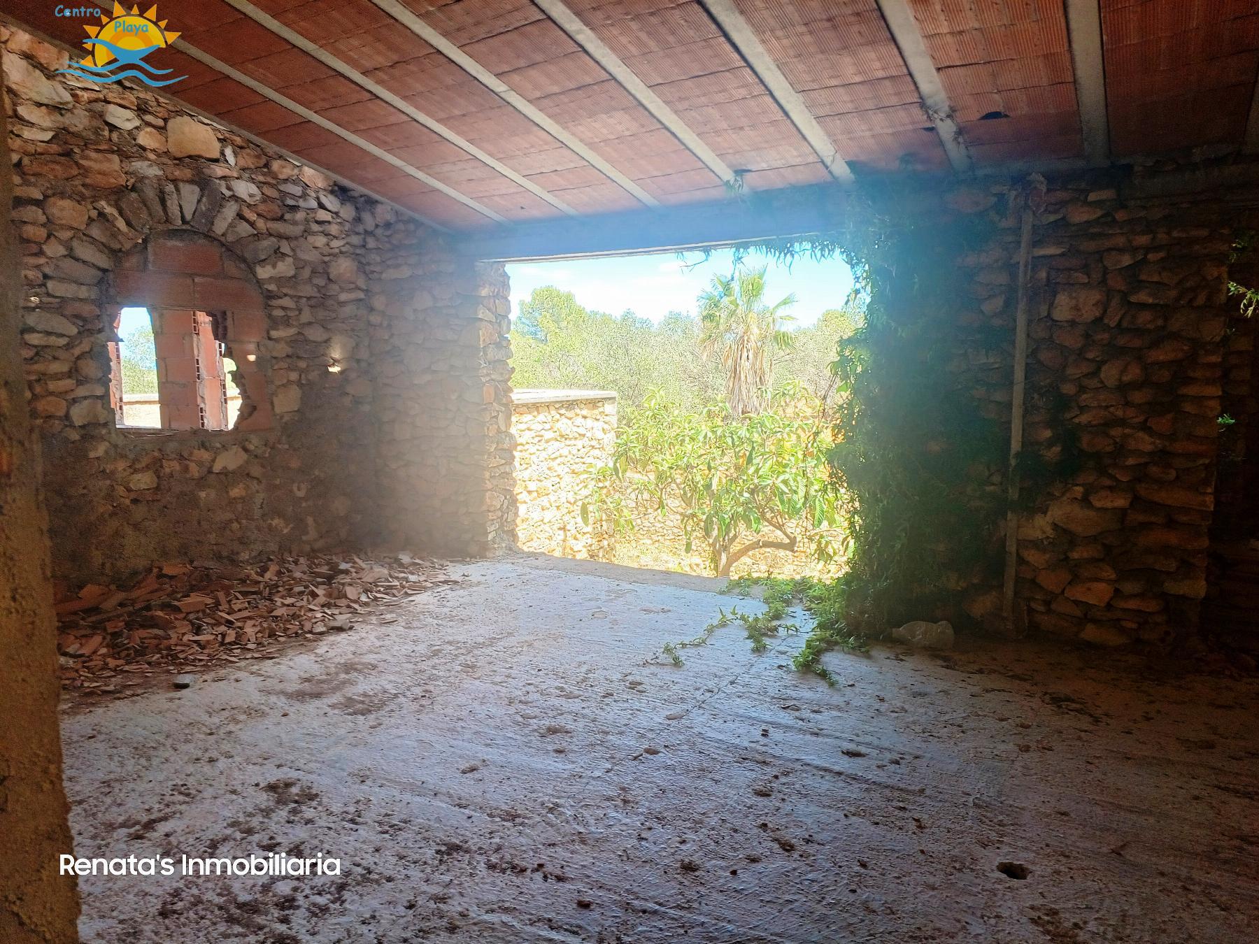 Venta de finca rústica en Peñíscola