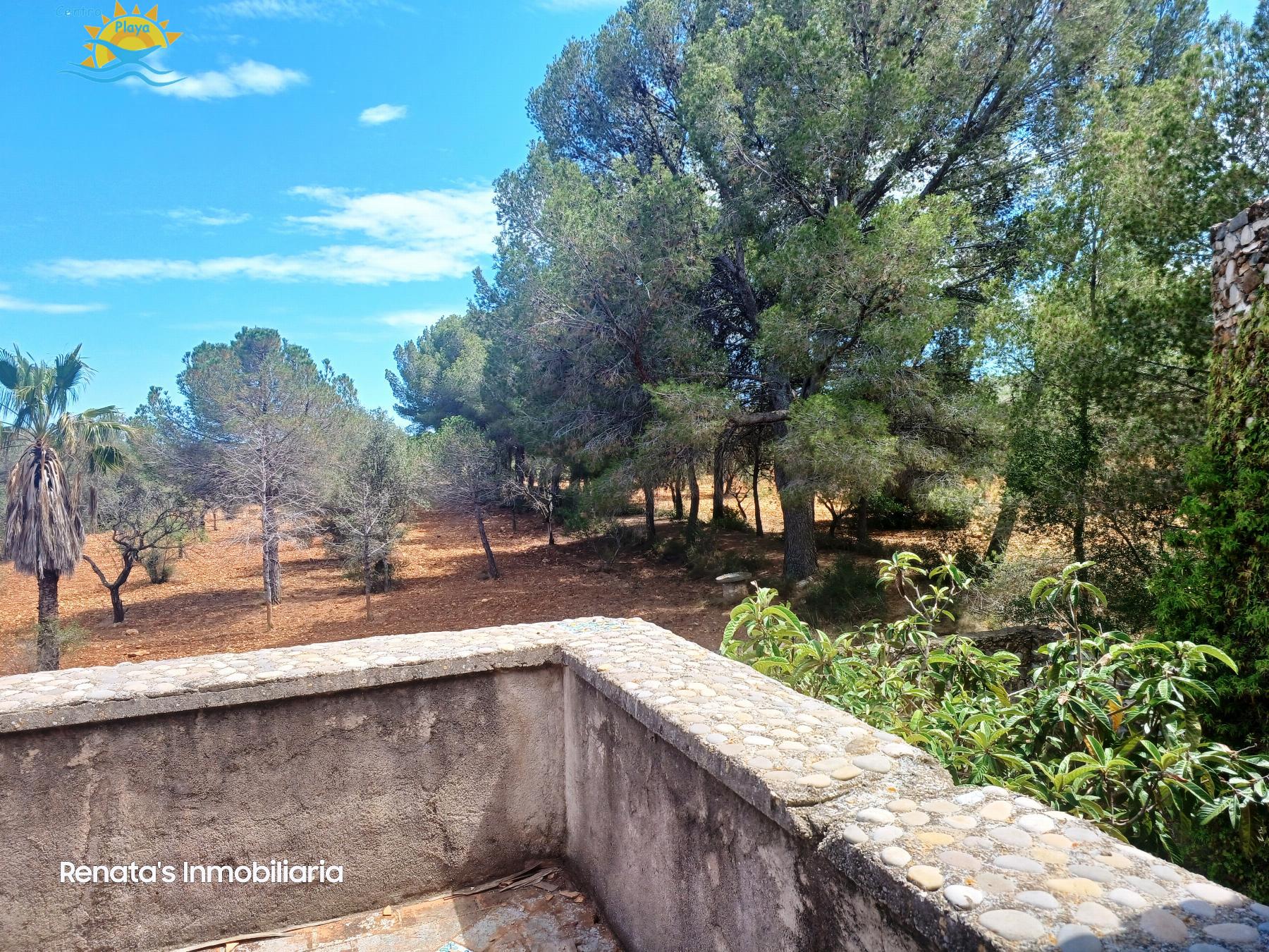 Venta de finca rústica en Peñíscola