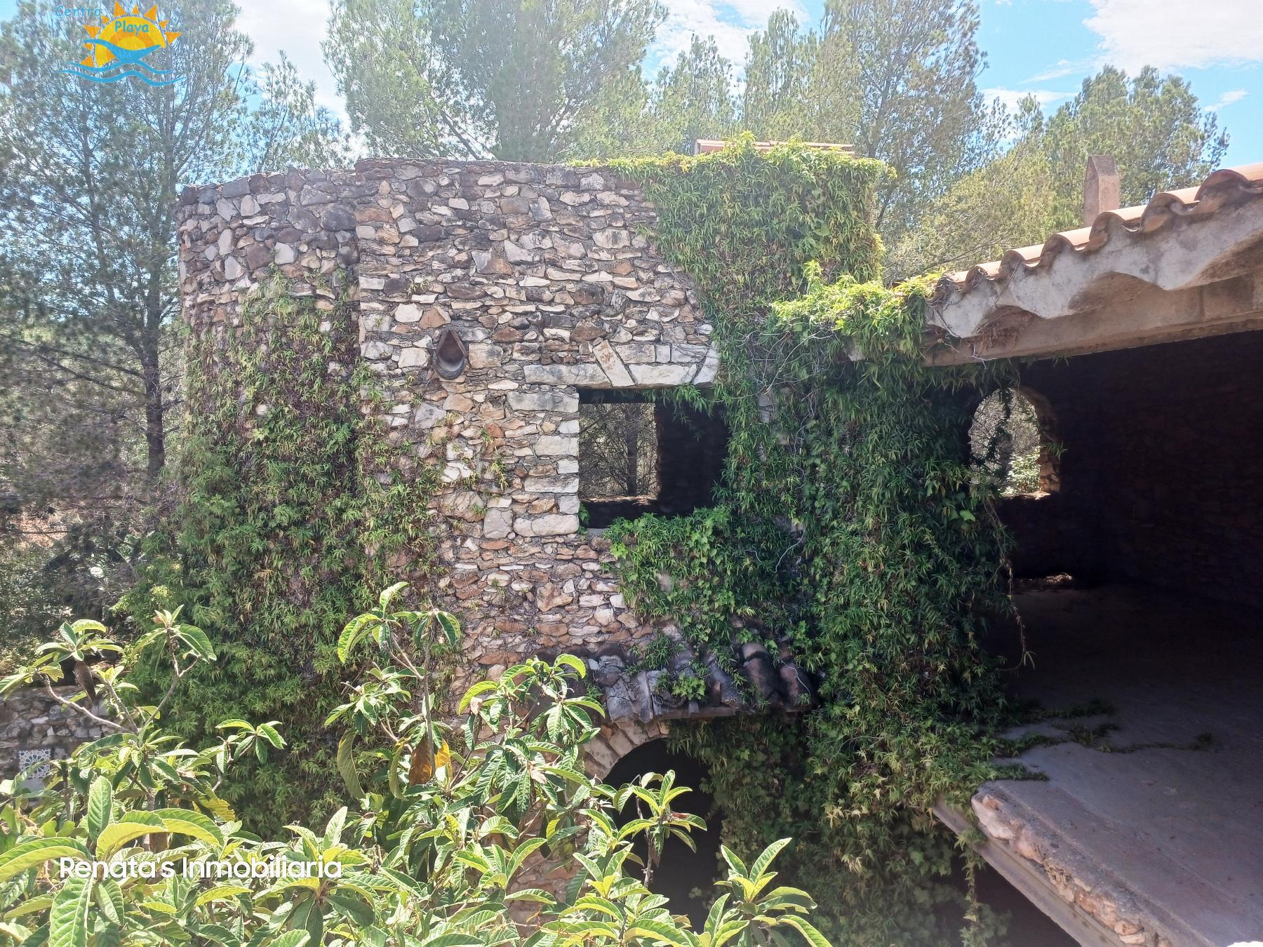Venta de finca rústica en Peñíscola