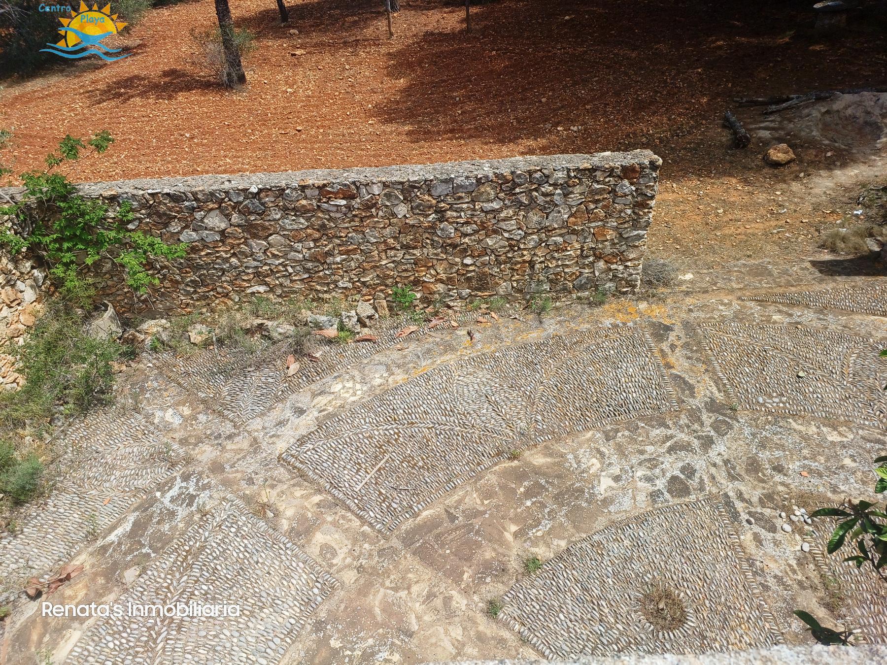 Venta de finca rústica en Peñíscola