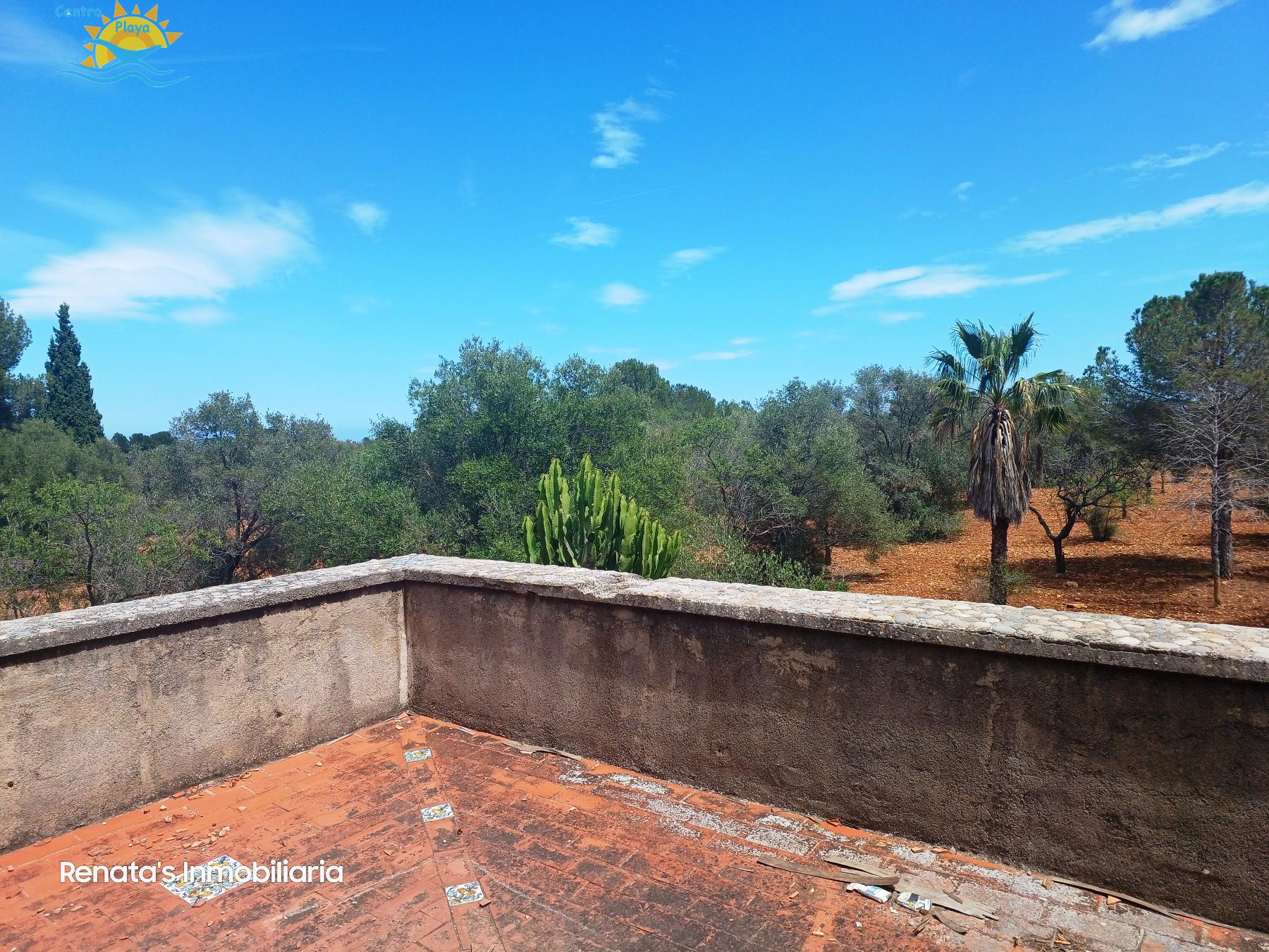 Venta de finca rústica en Peñíscola