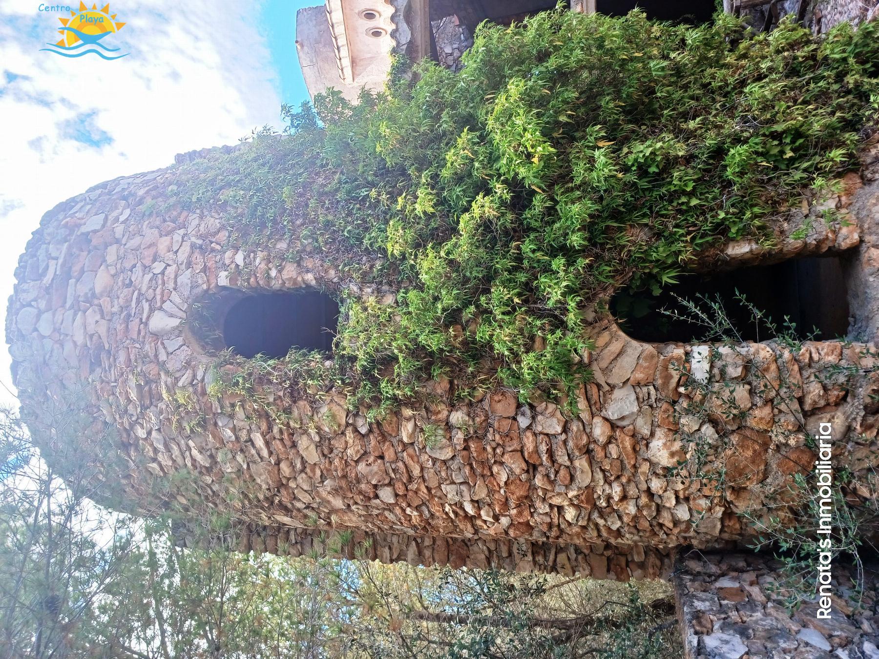 Venta de finca rústica en Peñíscola
