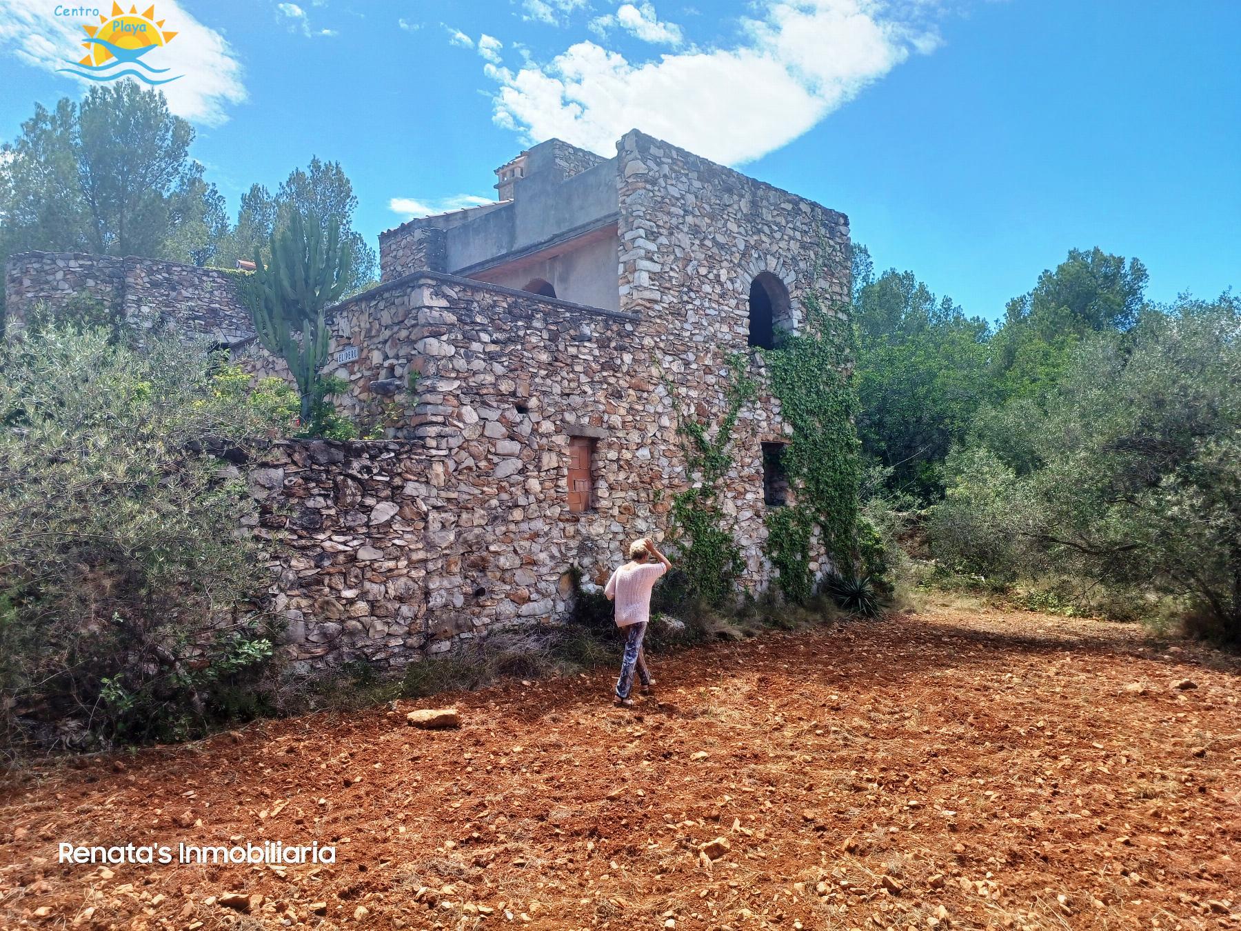 Venta de finca rústica en Peñíscola