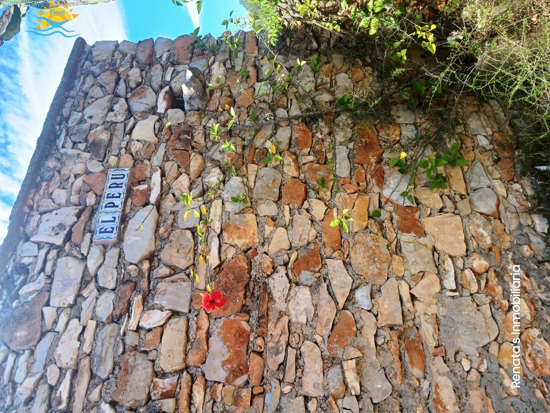 Venta de finca rústica en Peñíscola