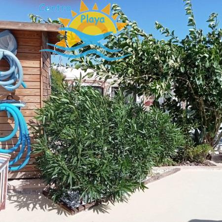 Venta de chalet en Castellón