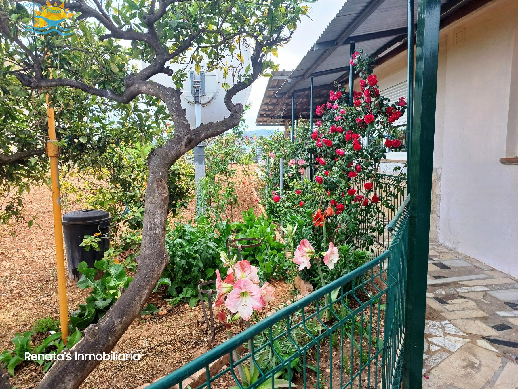 Venta de finca rústica en Peñíscola