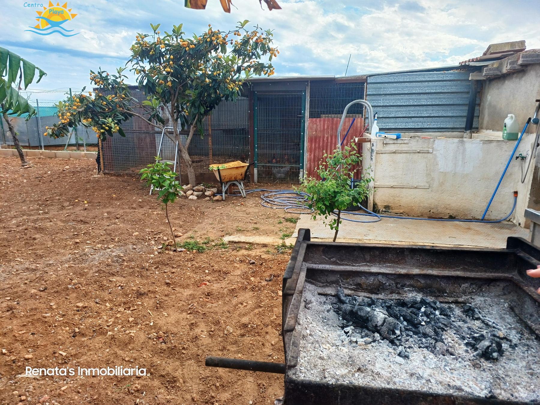 Venta de finca rústica en Peñíscola