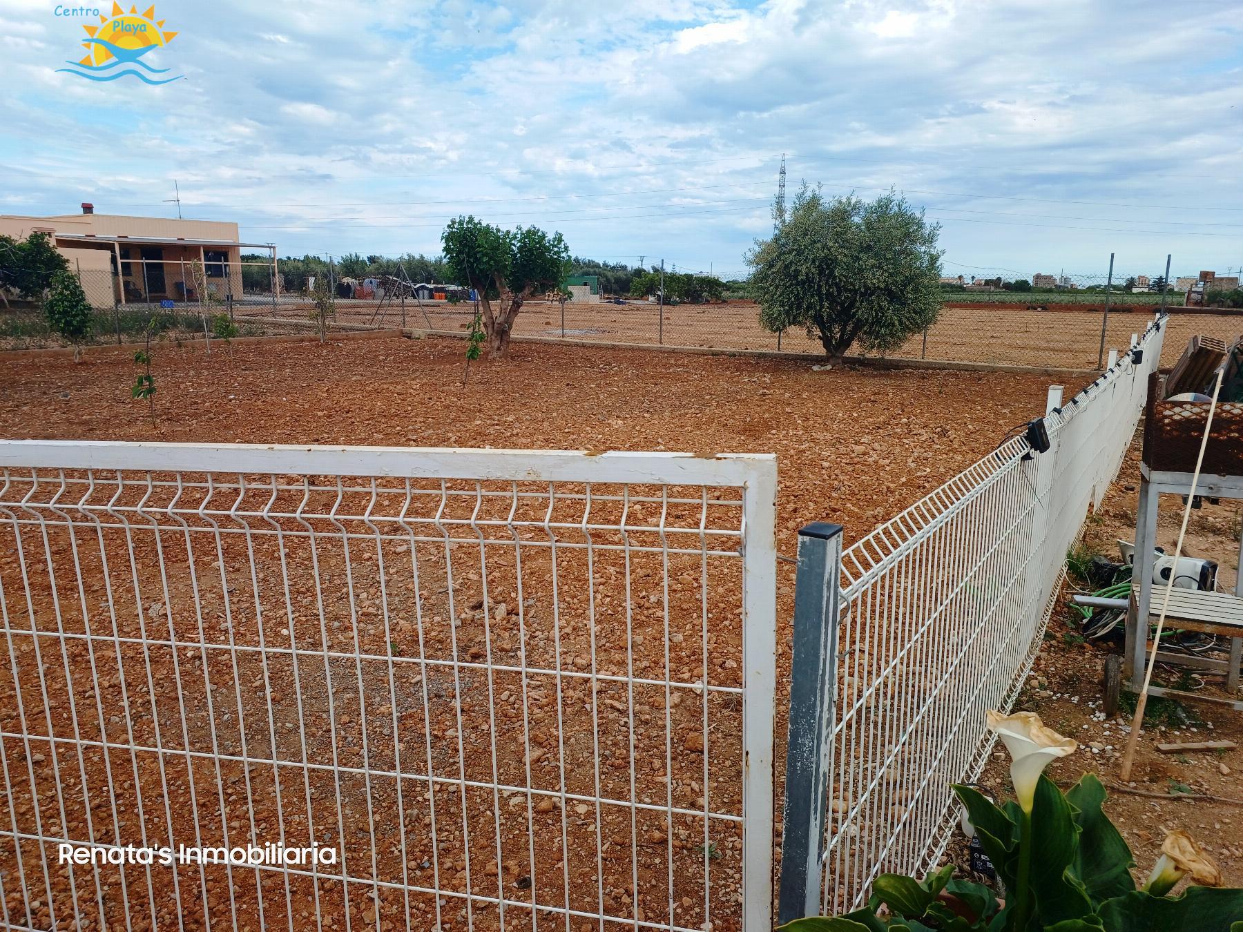 Venta de finca rústica en Peñíscola