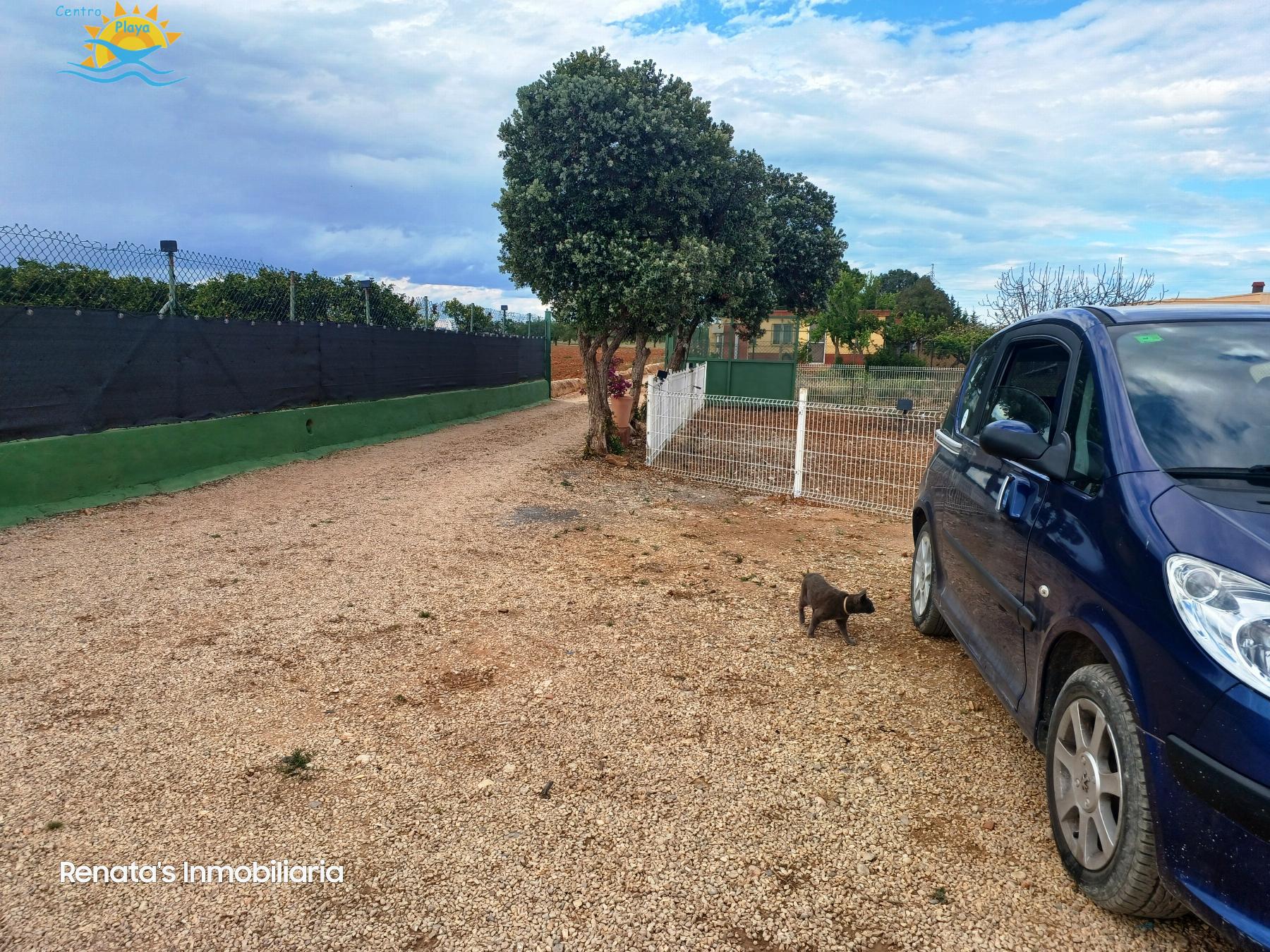 Venta de finca rústica en Peñíscola