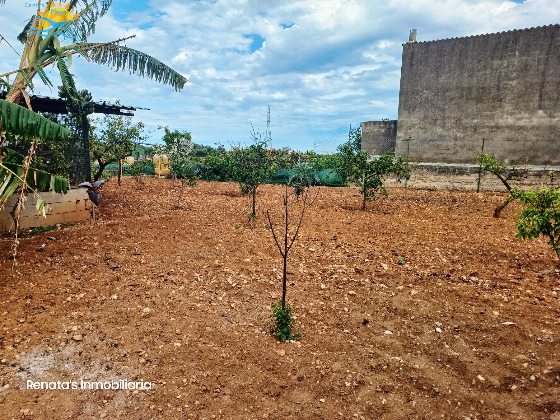 Venta de finca rústica en Peñíscola