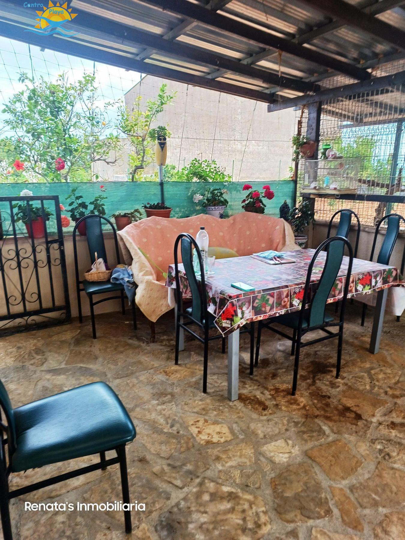 Venta de finca rústica en Peñíscola