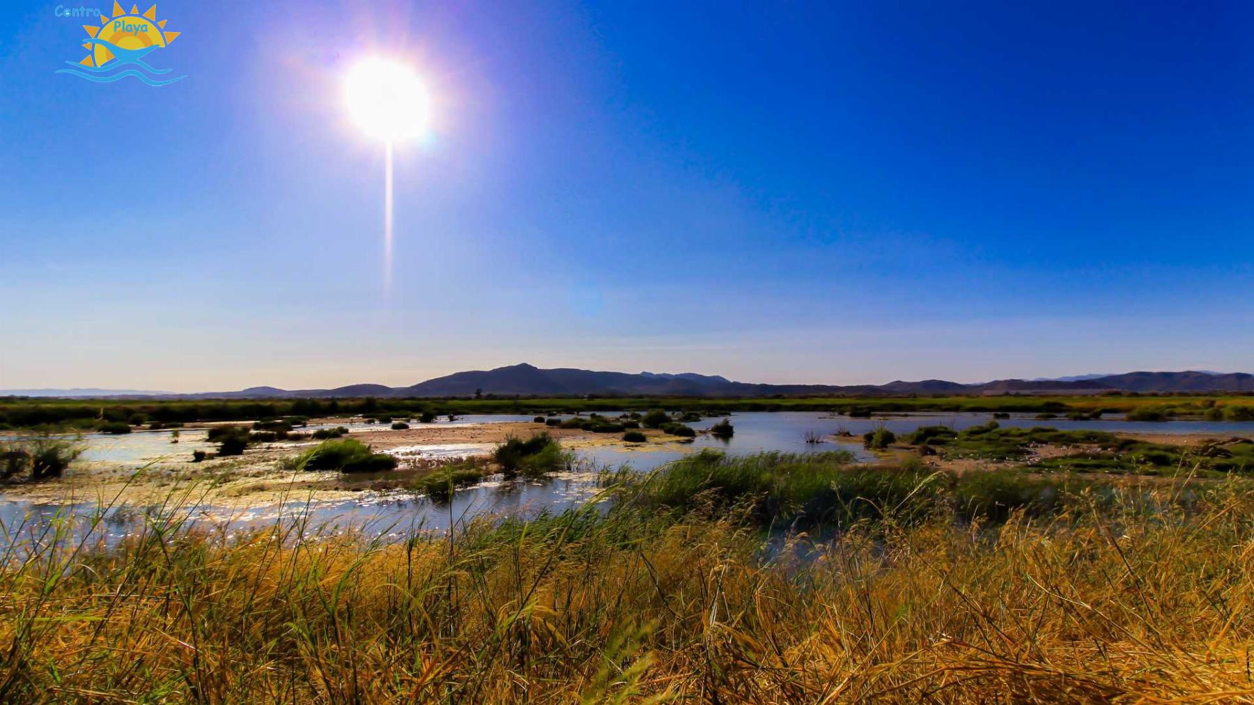 Venta de bungalow en Puçol