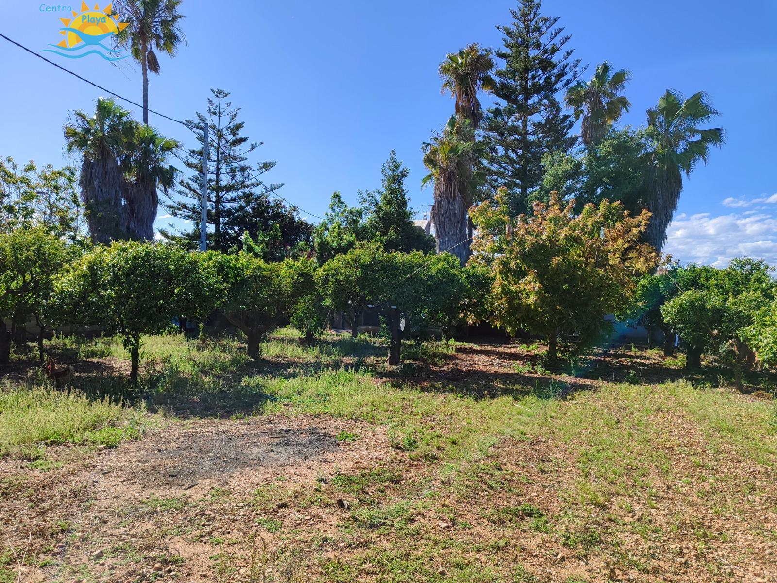Venta de casa en Benicarló