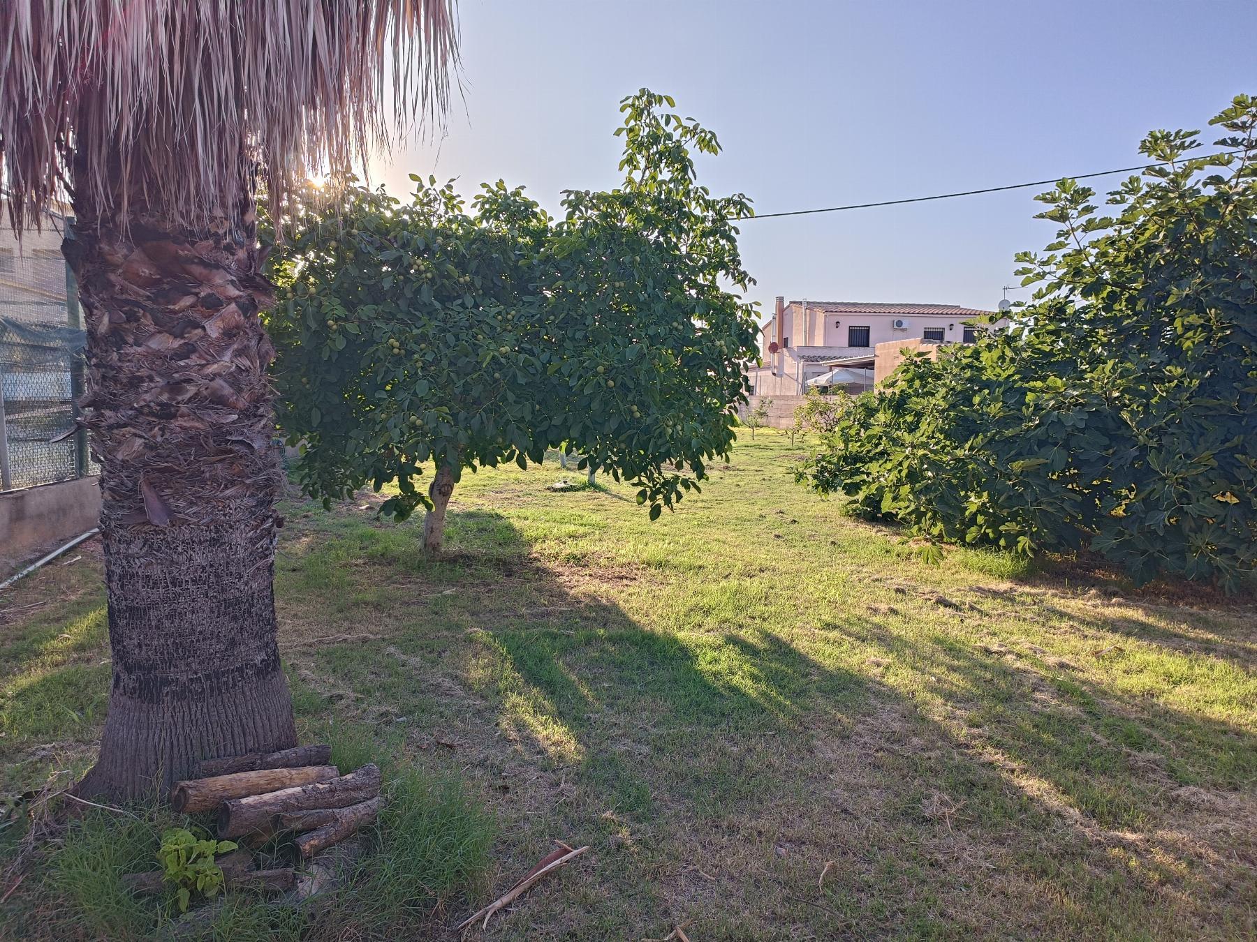 Venta de chalet en Castellón