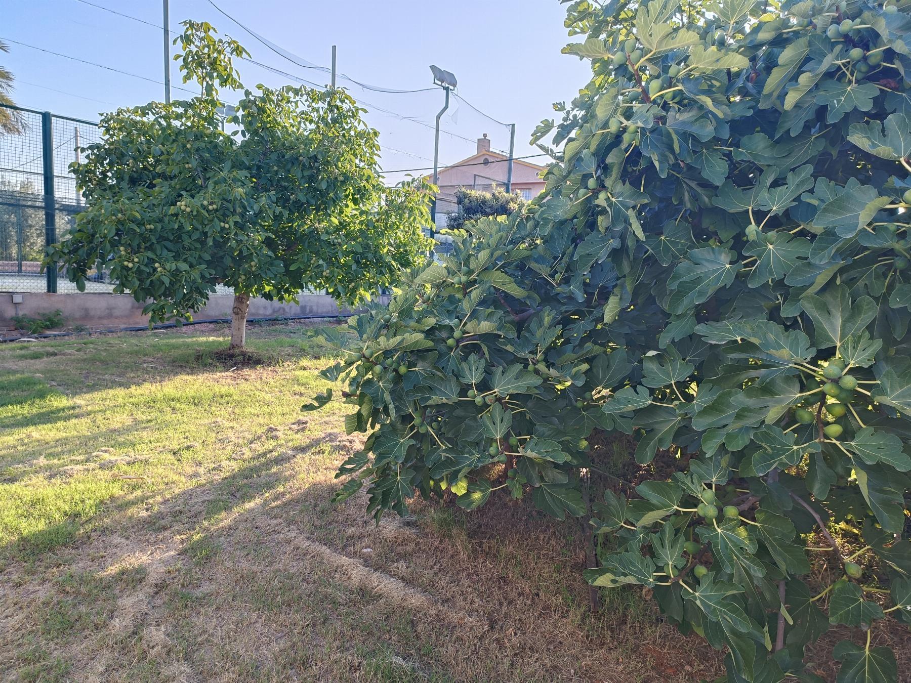 Venta de chalet en Castellón