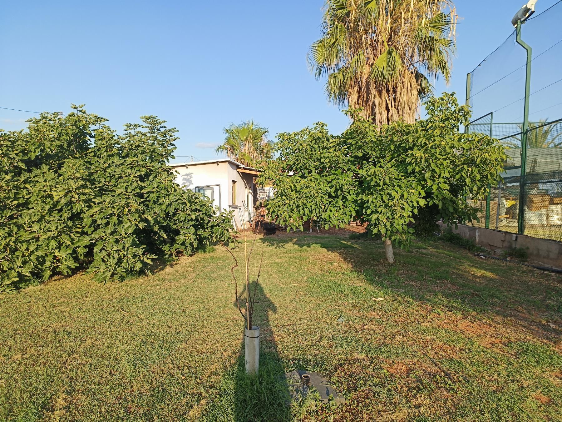 Venta de chalet en Castellón