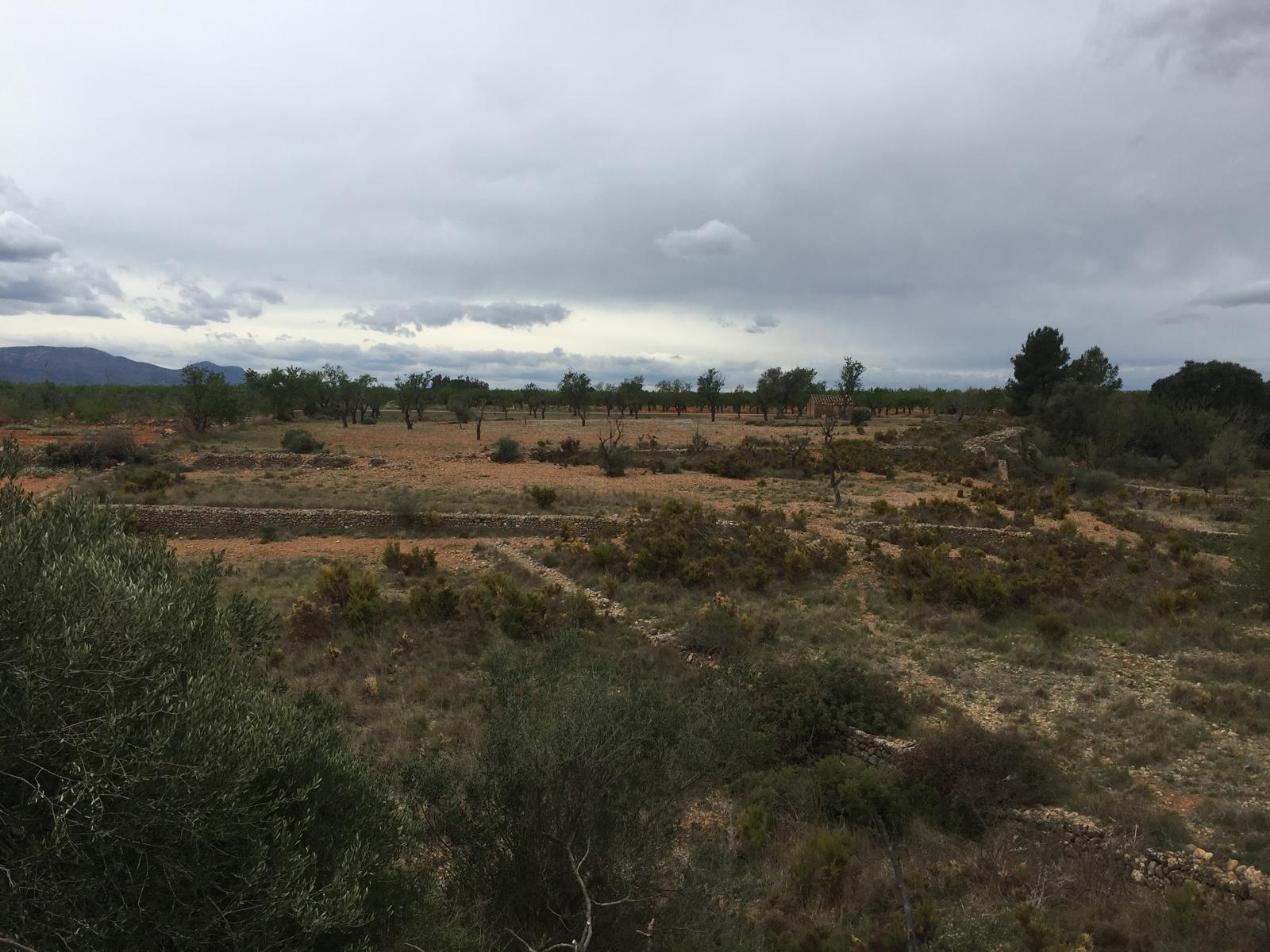 Venta de finca rústica en Vall d Alba