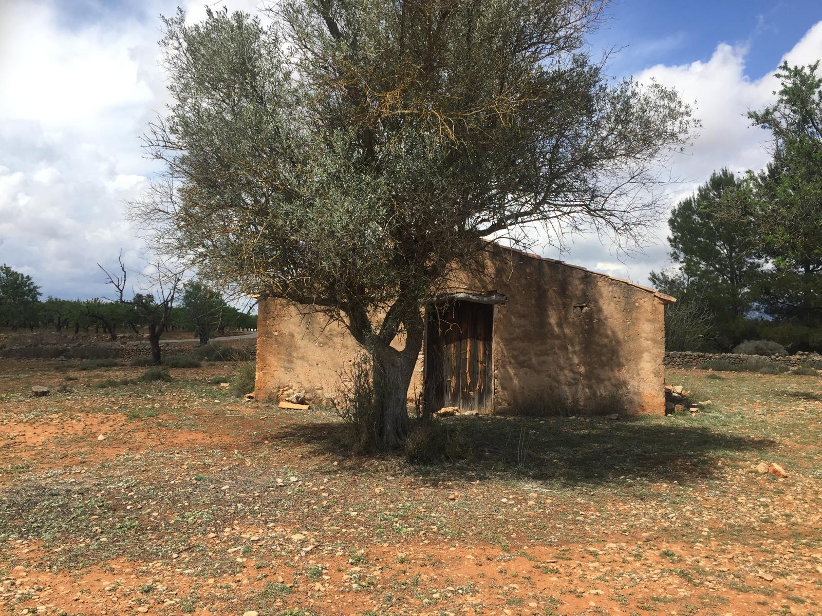 Venta de finca rústica en Vall d Alba