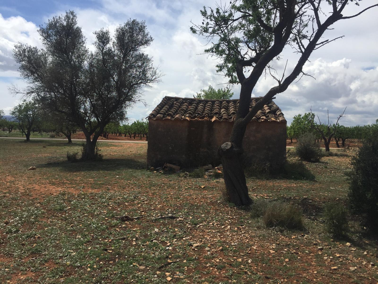 Venta de finca rústica en Vall d Alba