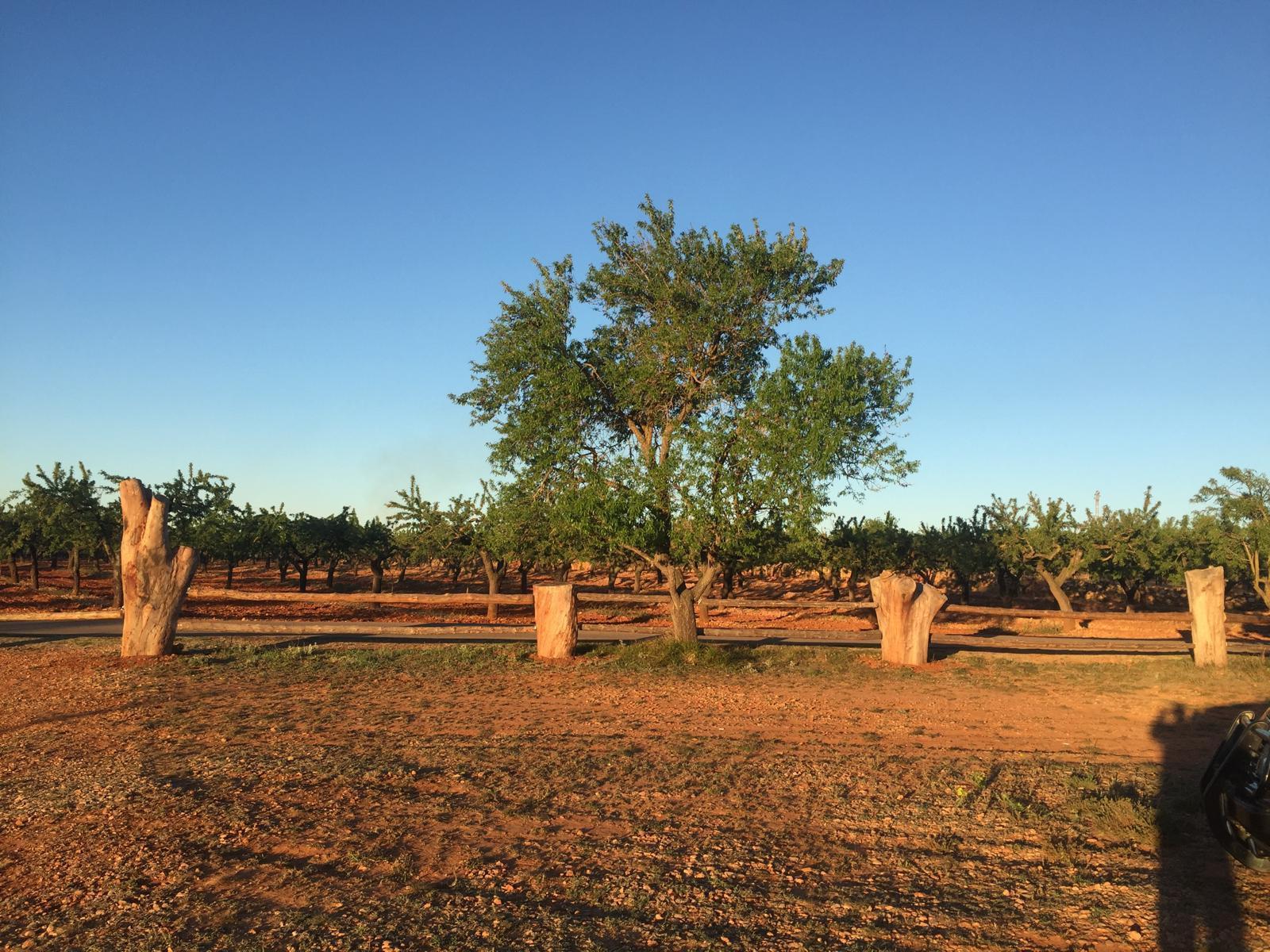 Venta de finca rústica en Vall d Alba