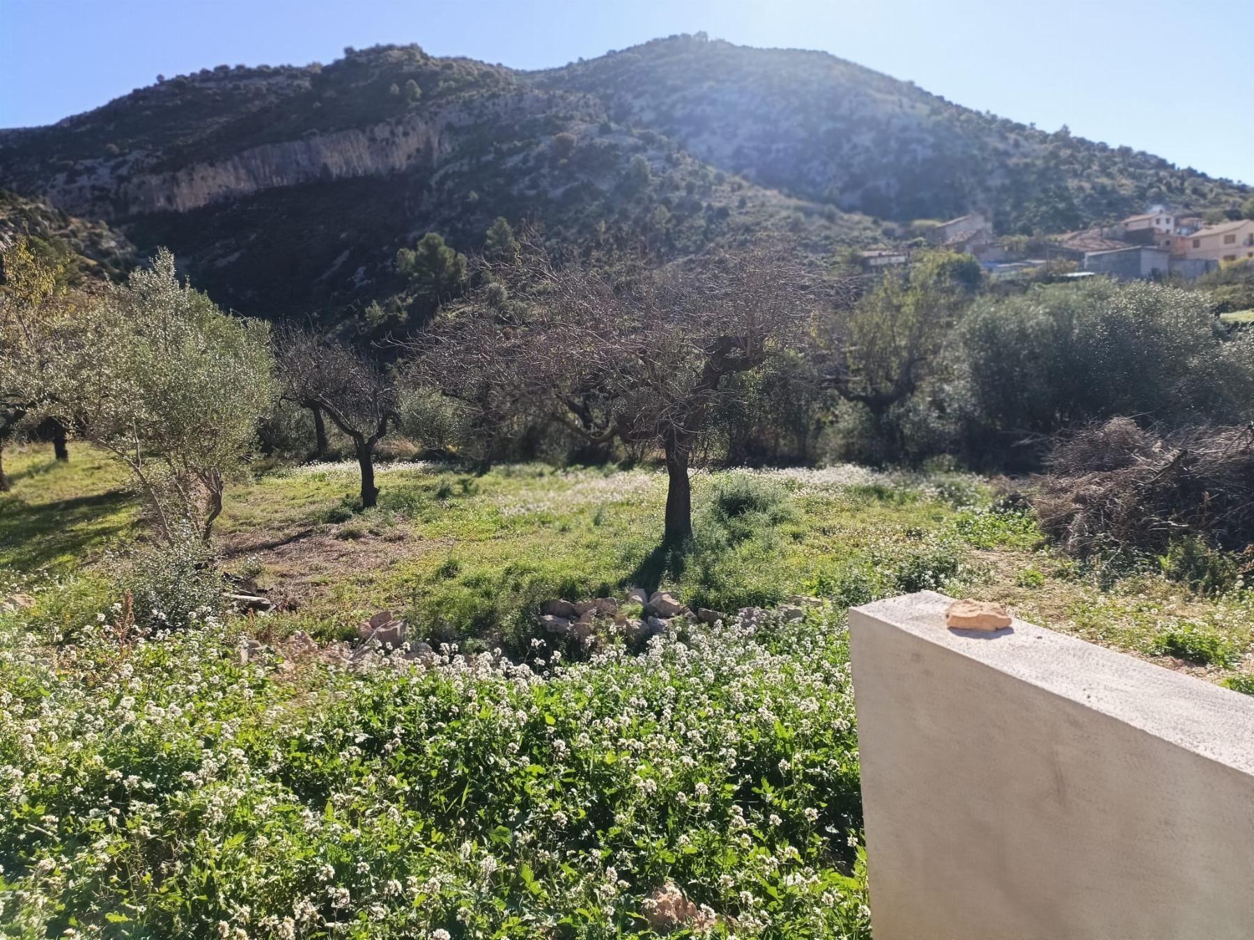 Venta de masía en Sierra Engarcerán