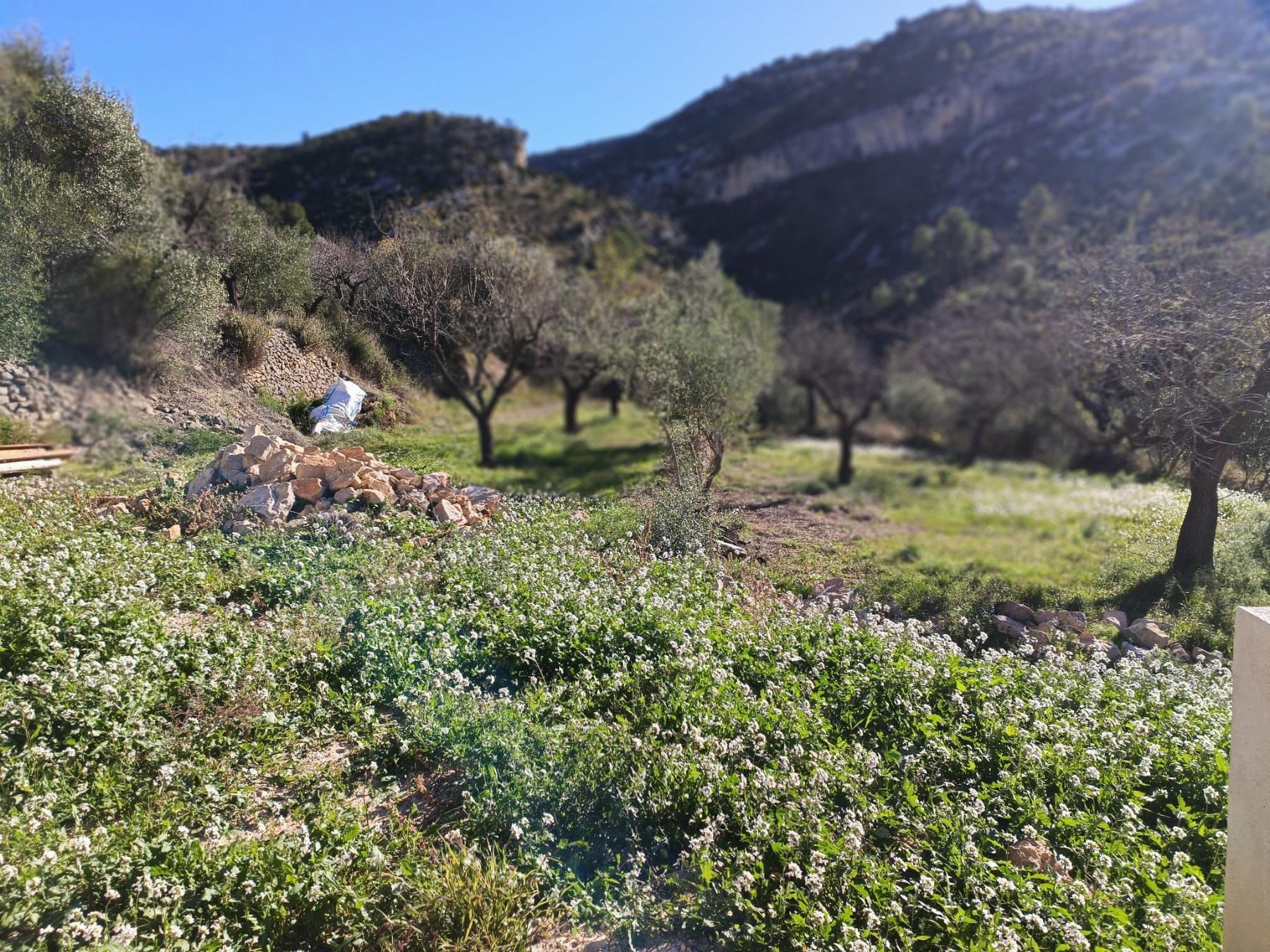 Venta de masía en Sierra Engarcerán
