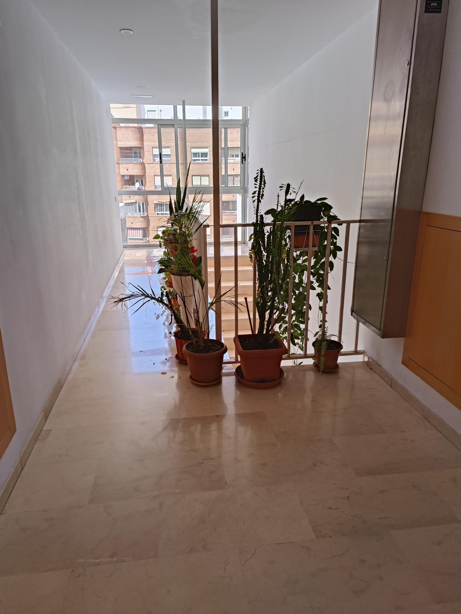 Alquiler de dúplex en Castellón