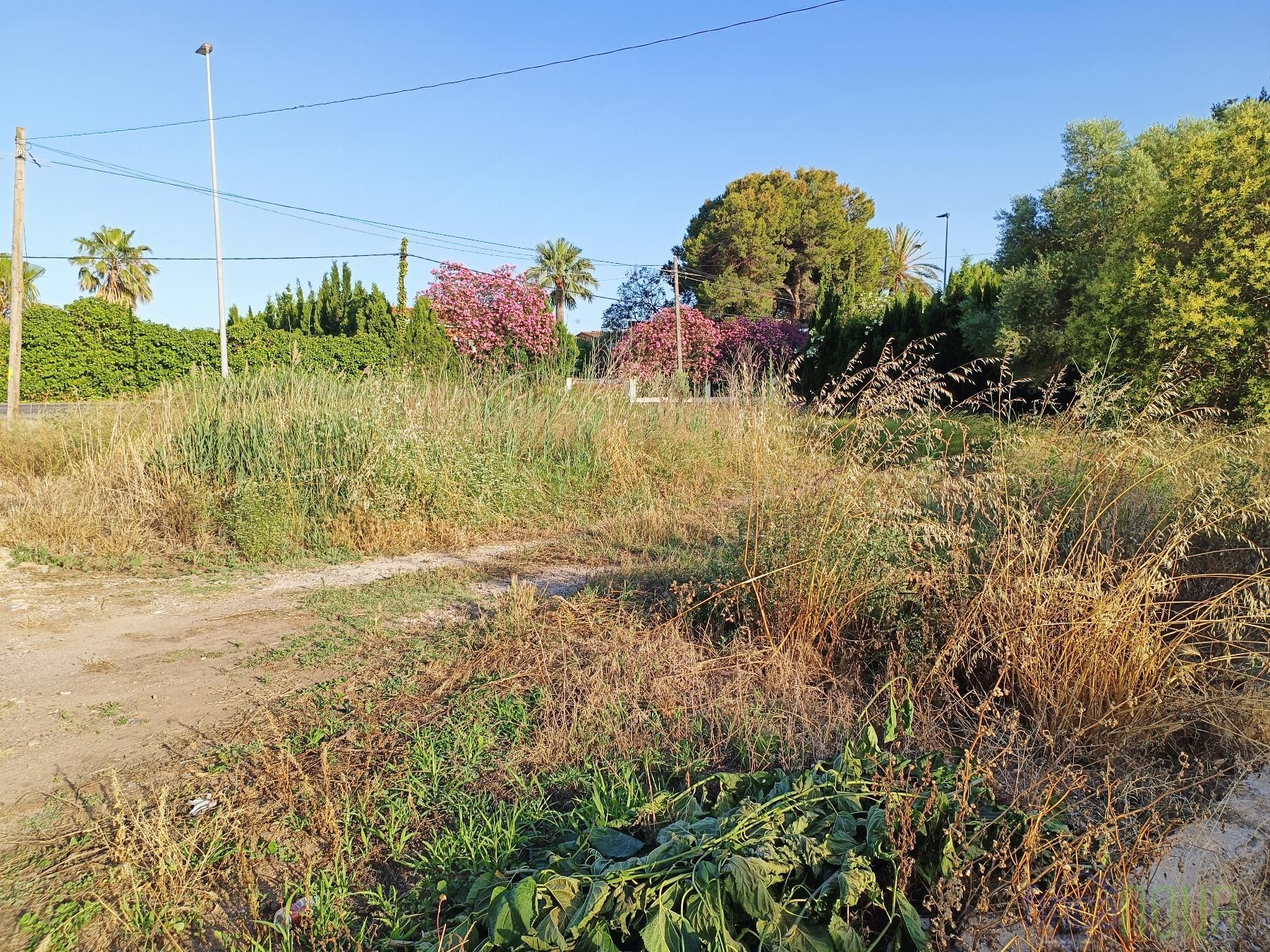 Venta de terreno en Castellón