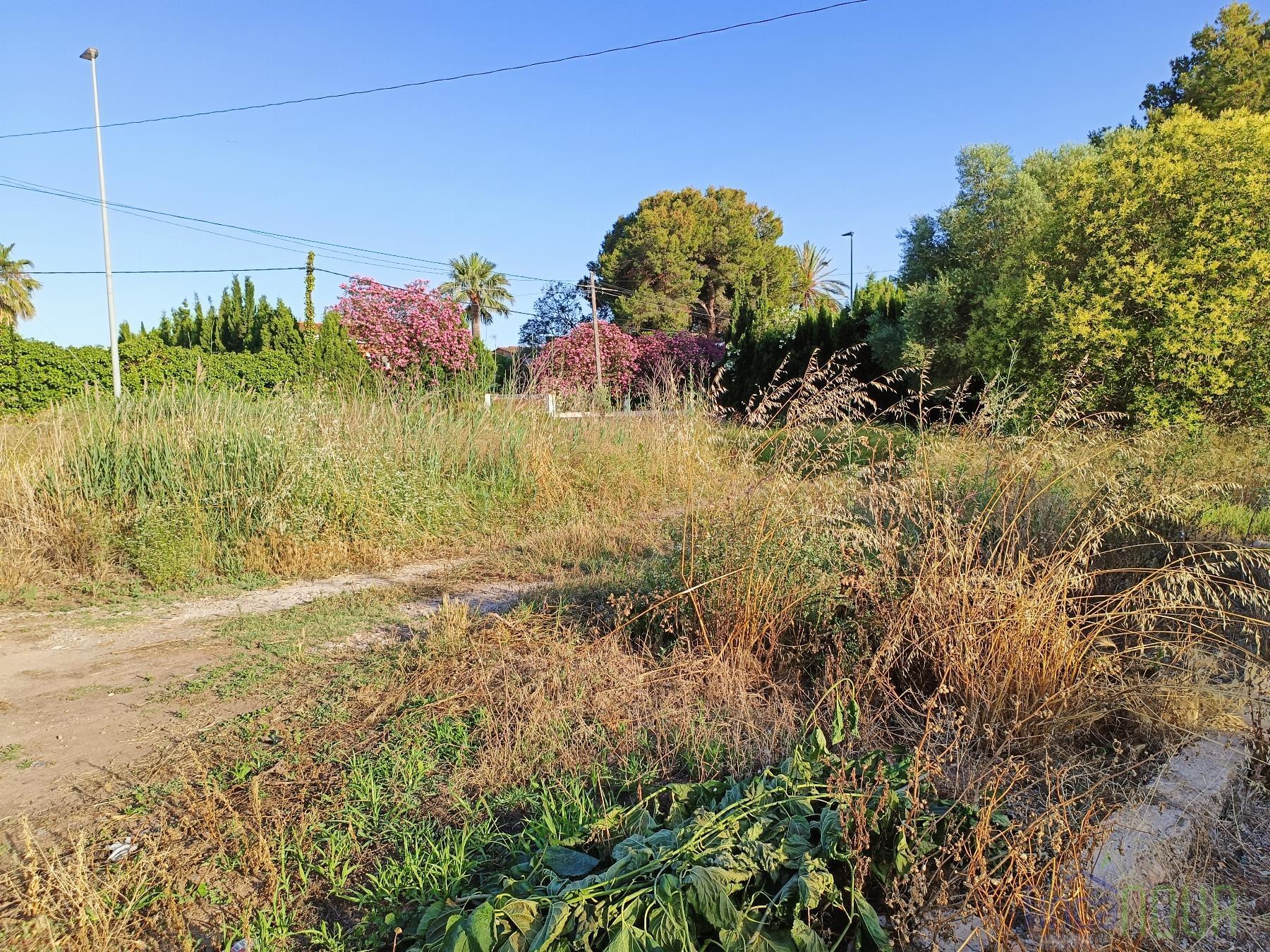 Venta de terreno en Castellón