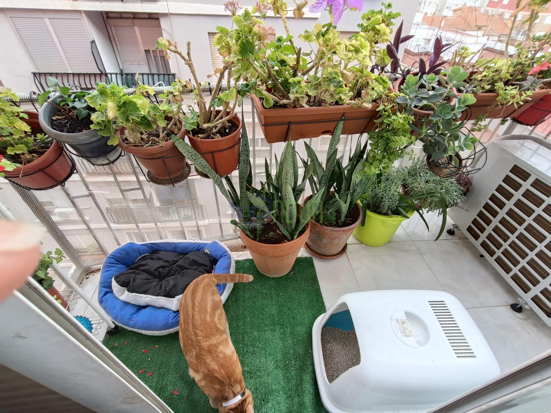 Venta de piso en Castellón