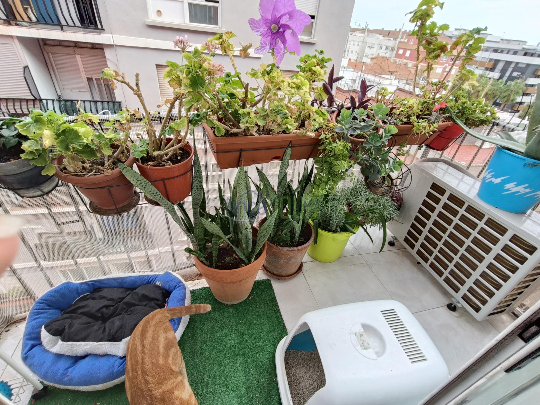 Venta de piso en Castellón