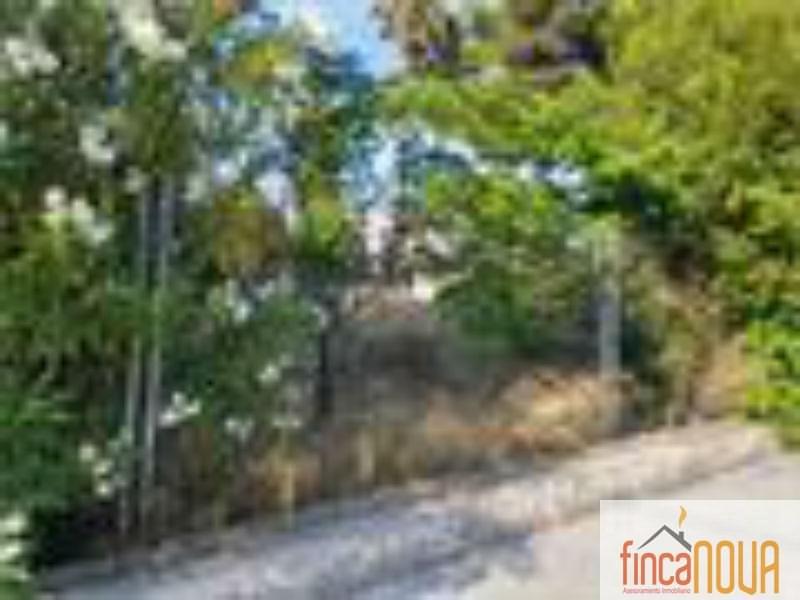 For sale of land in Castellón