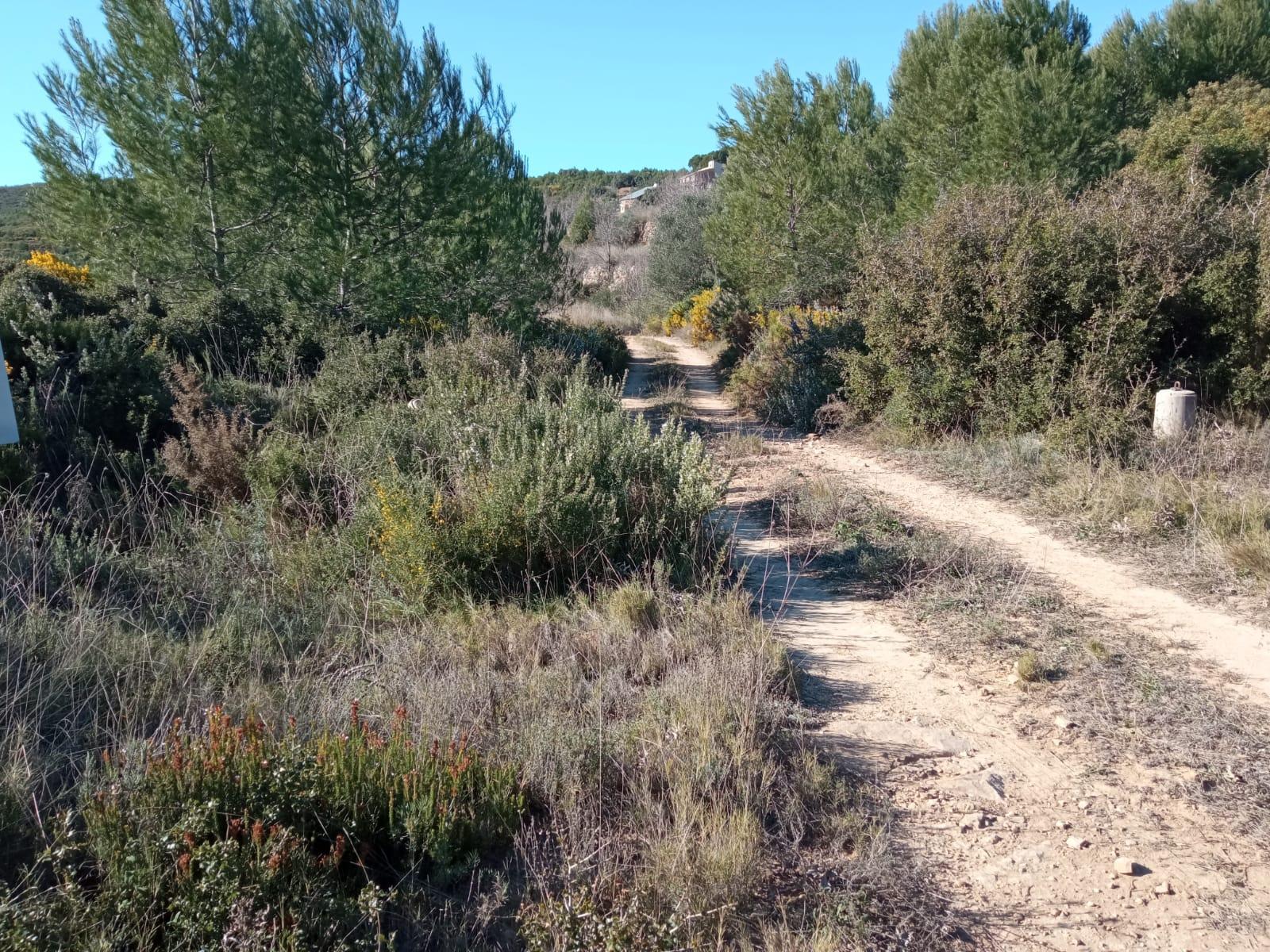 For sale of masia in Useras