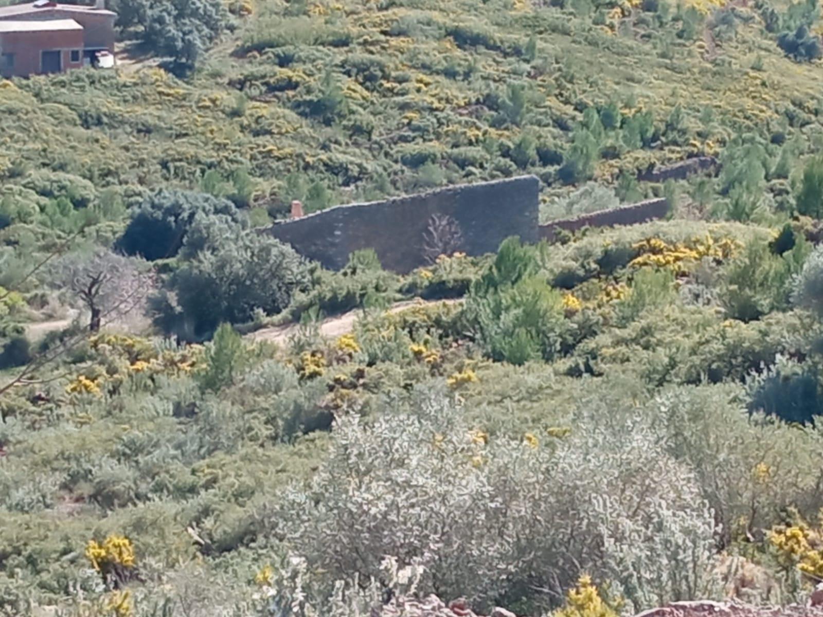 For sale of masia in Useras