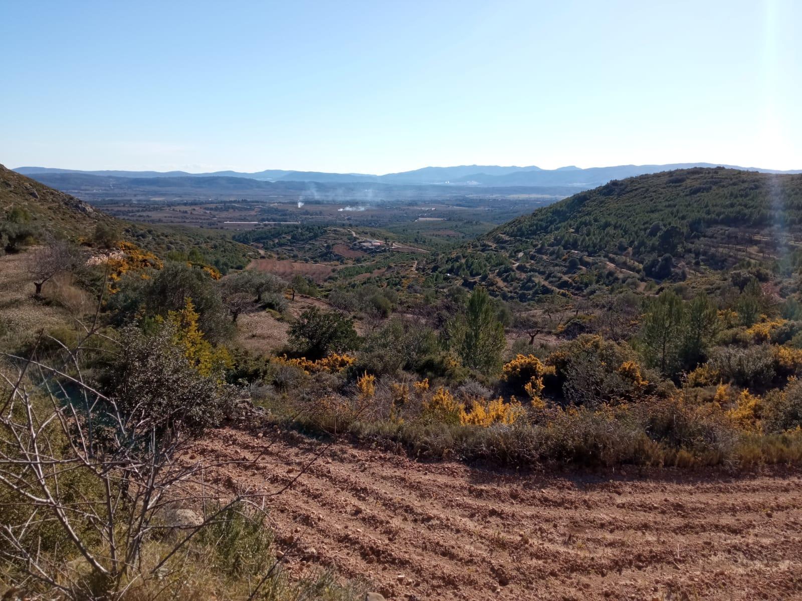 For sale of masia in Useras
