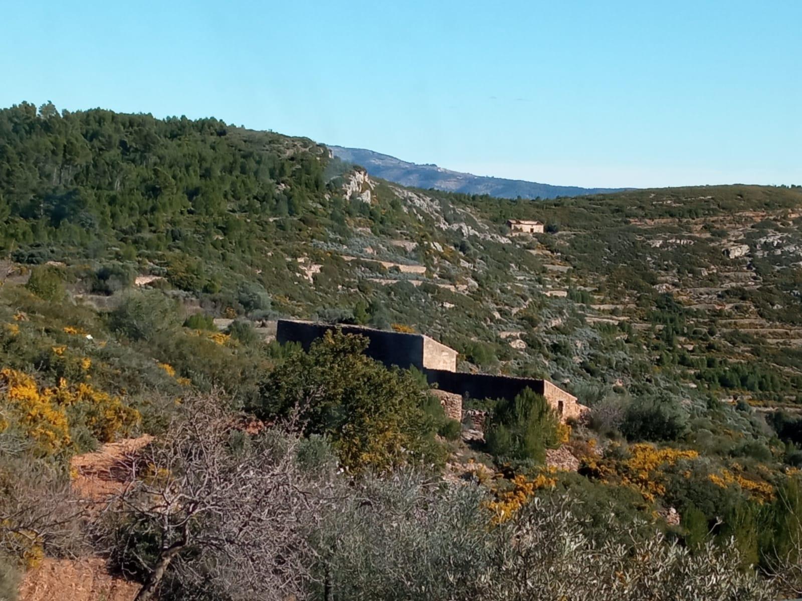 For sale of masia in Useras