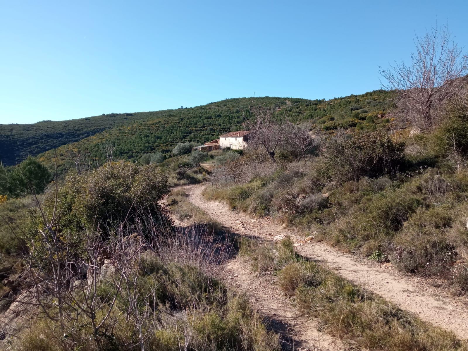 For sale of masia in Useras