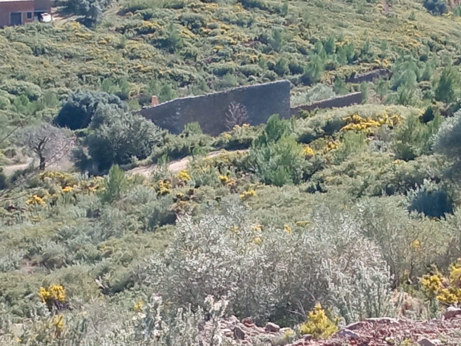 For sale of masia in Useras