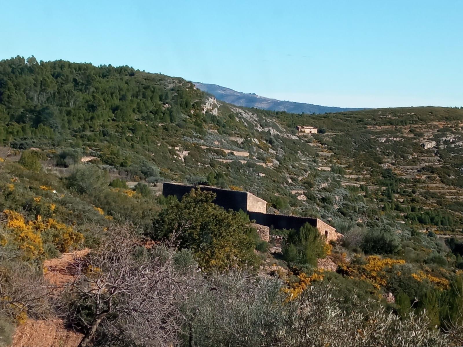 For sale of masia in Useras