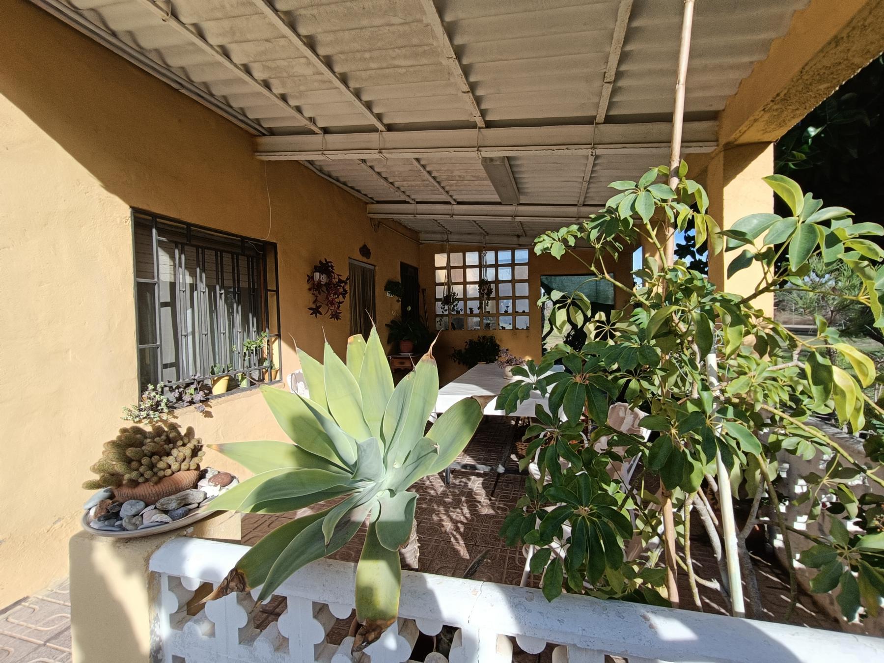 For sale of land in Almazora