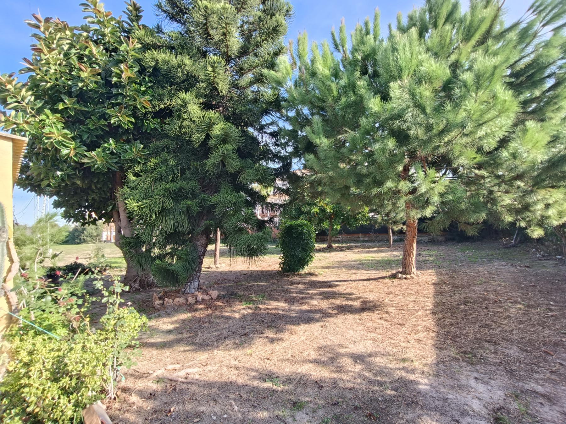 For sale of land in Almazora
