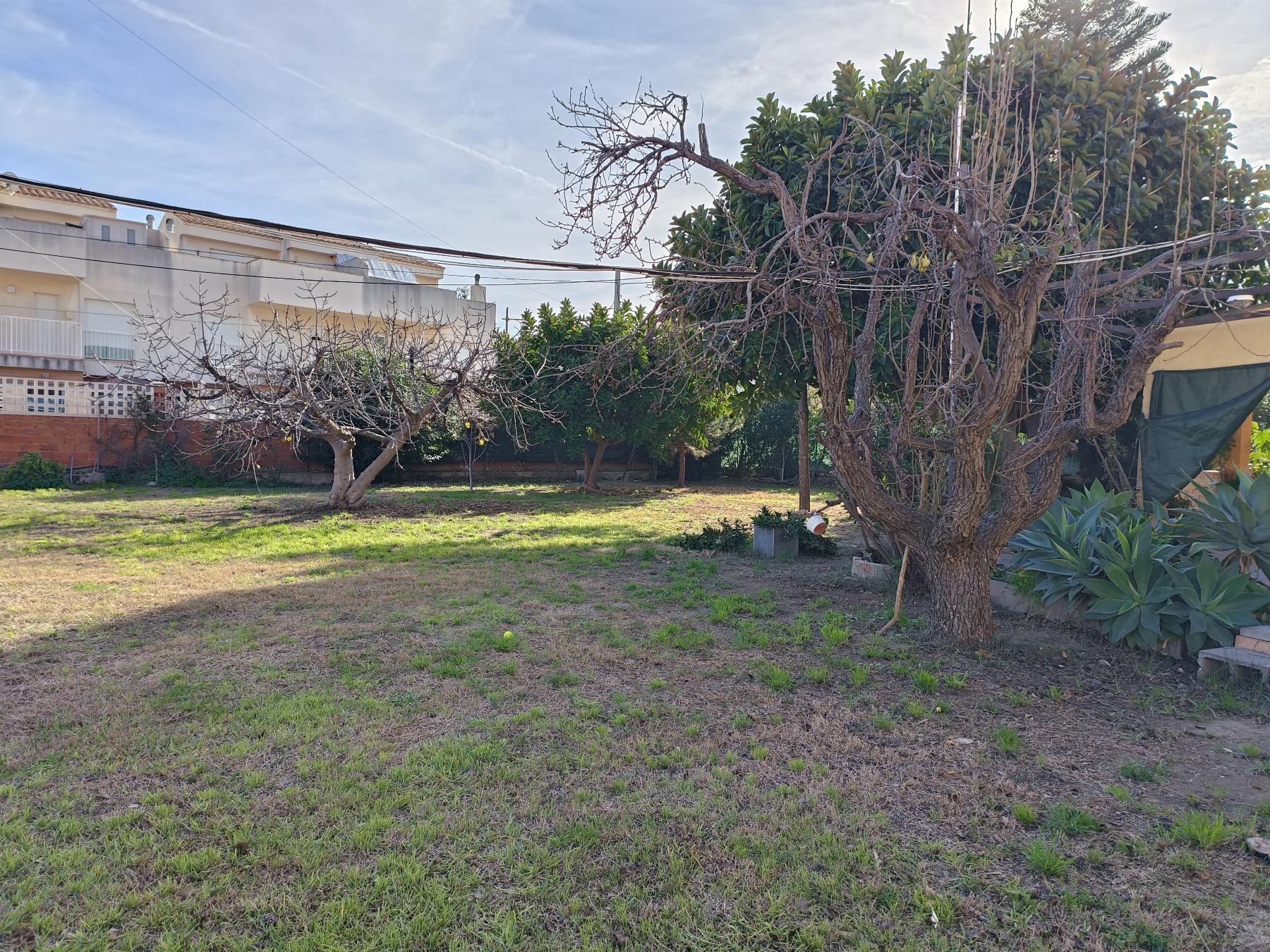 For sale of land in Almazora