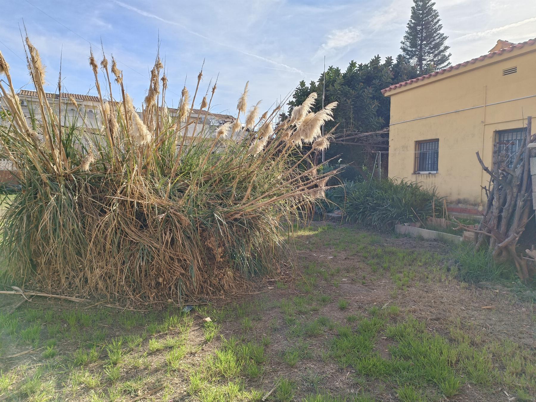 For sale of land in Almazora
