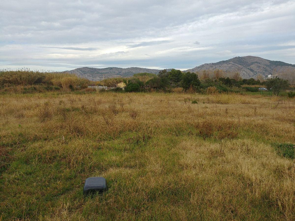 For sale of rural property in Castellón