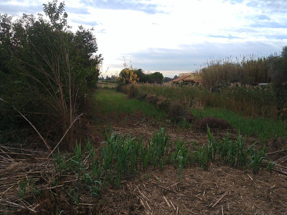 For sale of rural property in Castellón