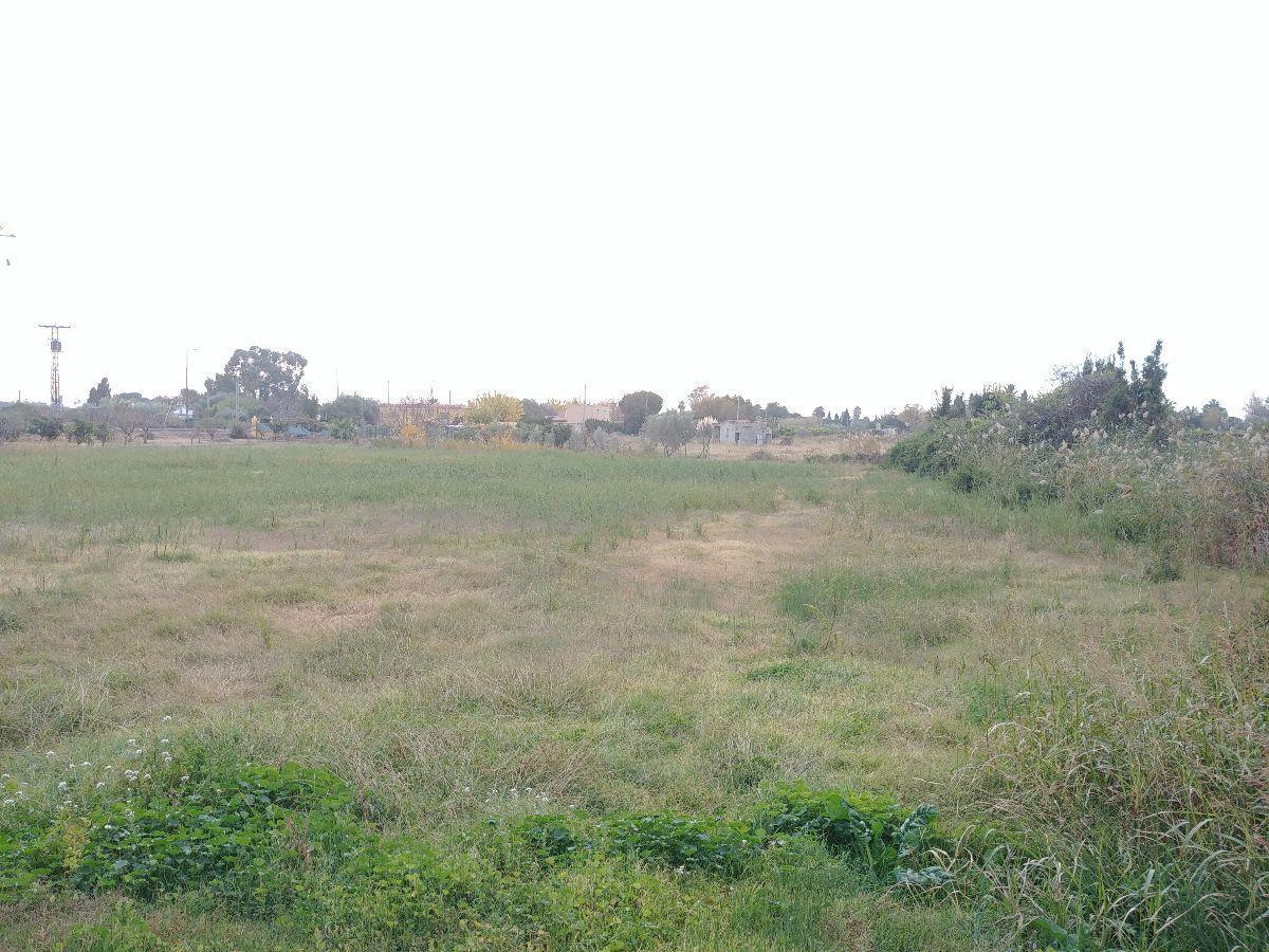 For sale of land in Castellón