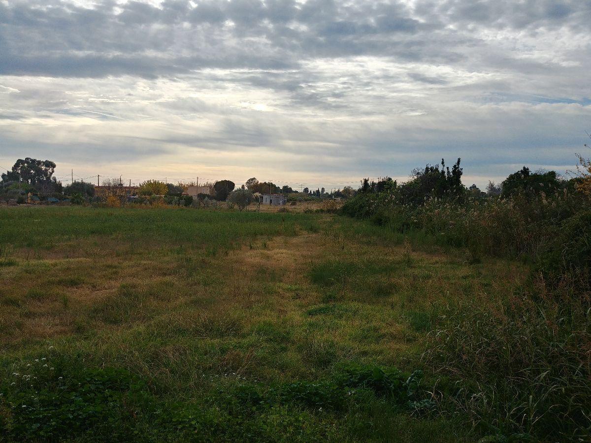 For sale of land in Castellón