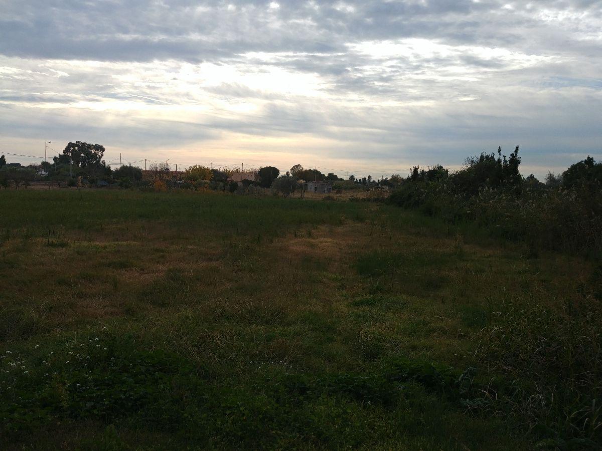 For sale of land in Castellón