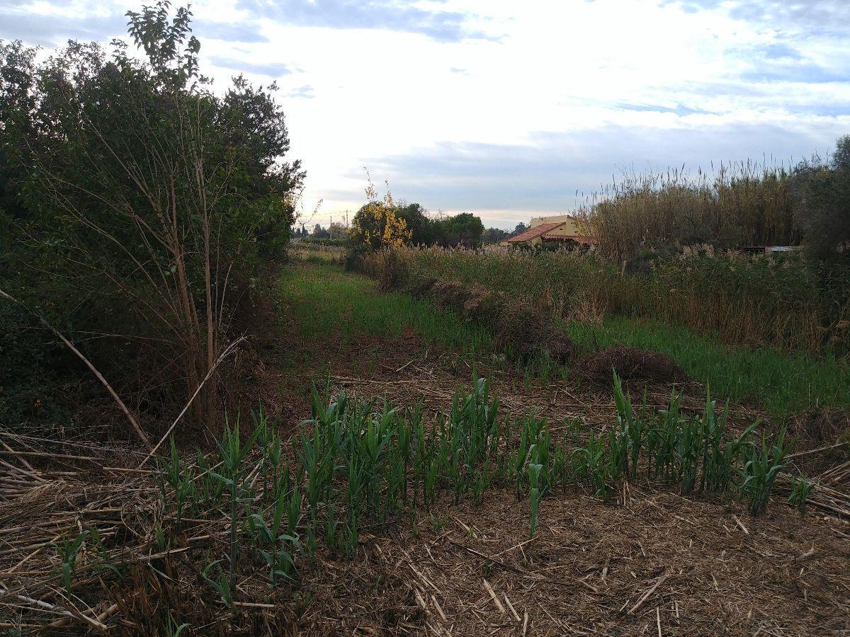 For sale of land in Castellón